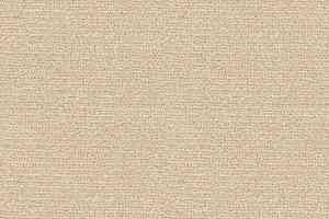 Ковролин Radici Abetone Avorio 4215 фото  | FLOORDEALER